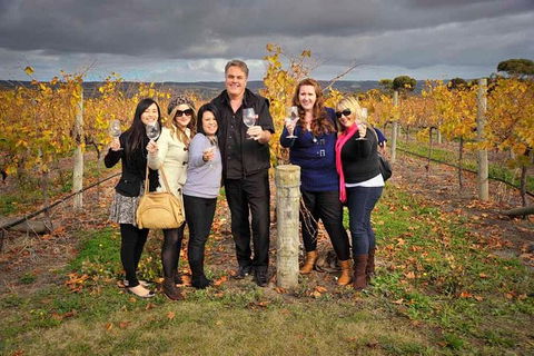 McLaren Vale Winery Small Group Tour With Wine Tasting And Lunch - Accommodation Coffs Harbour 2