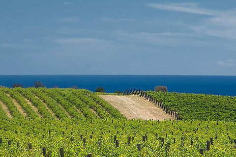 McLaren Vale Winery Small Group Tour With Wine Tasting And Lunch - Accommodation Coffs Harbour 7