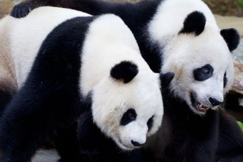 Adelaide City Tour With Optional River Cruise And Adelaide Zoo Admission - Accommodation Coffs Harbour 1