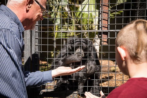 Adelaide Zoo Behind The Scenes Experience: Meet The Primates - Accommodation Coffs Harbour 1