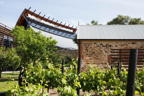 Australian Wine Discovery Tour With Tastings - Accommodation Coffs Harbour 6