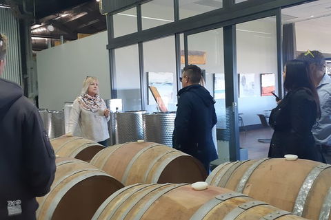Barossa Wine Tasting Shared Tours - Accommodation Coffs Harbour 3