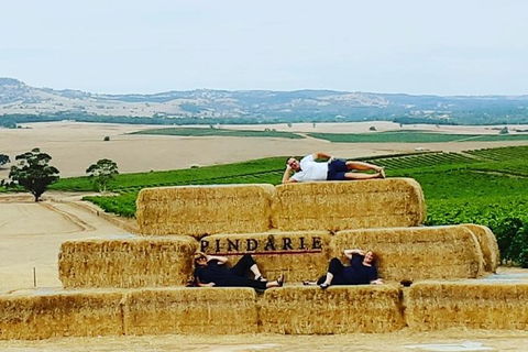 Barossa Wine Tasting Shared Tours - Accommodation Coffs Harbour 6
