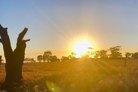 Bike Tour Strathalbyn & Langhorne Creek - Accommodation Coffs Harbour 3