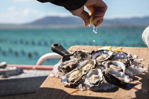 Experience Coffin Bay Oyster Farm And Bay Tour - Accommodation Coffs Harbour 0