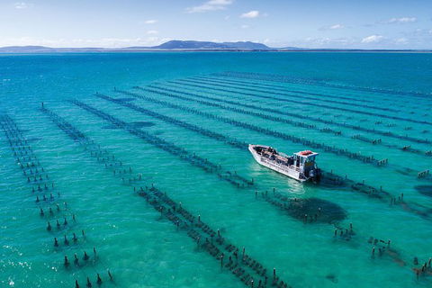 Experience Coffin Bay Oyster Farm And Bay Tour - Accommodation Coffs Harbour 1