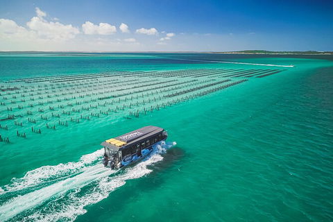 Experience Coffin Bay Oyster Farm And Bay Tour - Accommodation Coffs Harbour 2