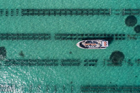 Experience Coffin Bay Oyster Farm And Bay Tour - Accommodation Coffs Harbour 4