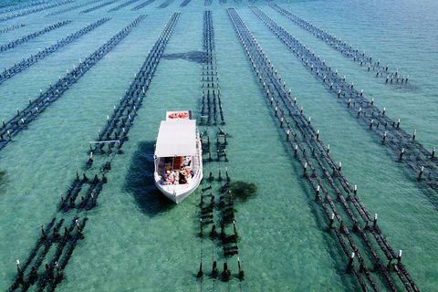 Experience Coffin Bay Oyster Farm And Bay Tour - Accommodation Coffs Harbour 8