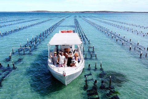 Experience Coffin Bay Oyster Farm And Bay Tour - Accommodation Coffs Harbour 12