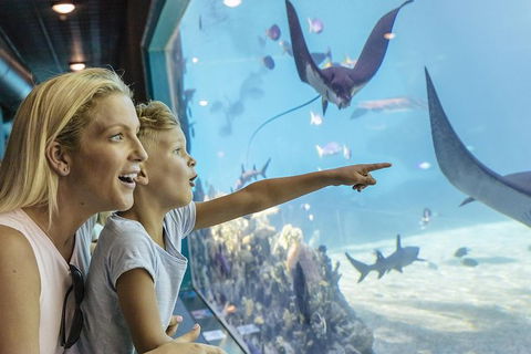 Gold Coast Theme Park Pass: Warner Bros. Movie World, Sea World And Wet'n'Wild - Accommodation Coffs Harbour 1