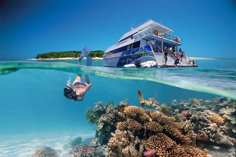 3-Day Southern Great Barrier Reef Tour Including Lady Musgrave Island - Accommodation Coffs Harbour 0