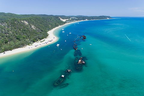 Cape Moreton Scenic 4WD Day Tour From Brisbane Or The Gold Coast - Accommodation Coffs Harbour 8
