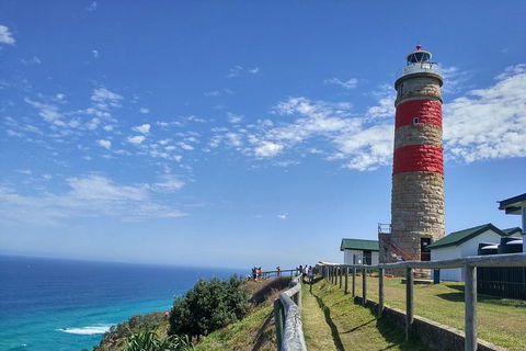 Cape Moreton Scenic 4WD Day Tour From Brisbane Or The Gold Coast - Accommodation Coffs Harbour 6