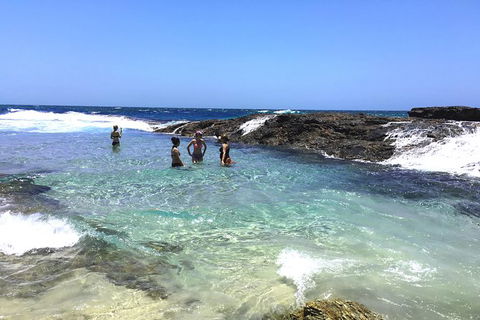Cape Moreton Scenic 4WD Day Tour From Brisbane Or The Gold Coast - Accommodation Coffs Harbour 3