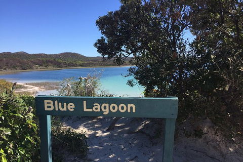 Cape Moreton Scenic 4WD Day Tour From Brisbane Or The Gold Coast - Accommodation Coffs Harbour 4