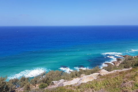 Cape Moreton Scenic 4WD Day Tour From Brisbane Or The Gold Coast - Accommodation Coffs Harbour 7