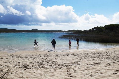 Cape Moreton Scenic 4WD Day Tour From Brisbane Or The Gold Coast - Accommodation Coffs Harbour 5