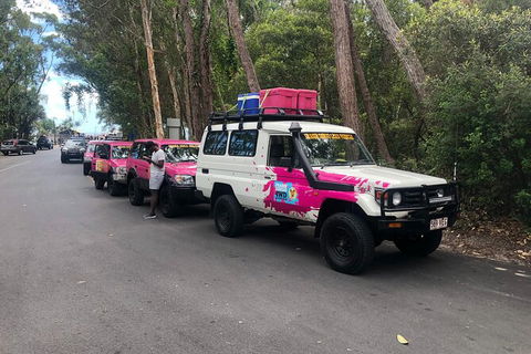 2-Day Fraser Island 4WD Tag-Along Tour At Beach House From Hervey Bay - Accommodation Coffs Harbour 6