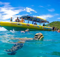 Ocean Rafting Tour to Whitehaven Beach Hill Inlet Lookout  Top Snorkel Spots - Accommodation Coffs Harbour