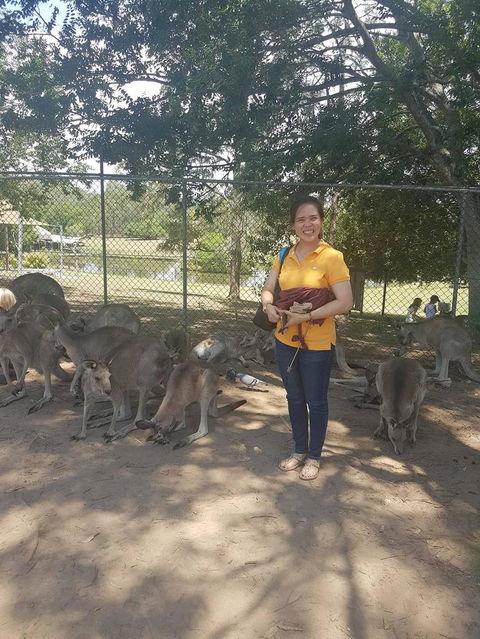 Lone Pine Koala Sanctuary Admission With Brisbane River Cruise - Accommodation Coffs Harbour 17