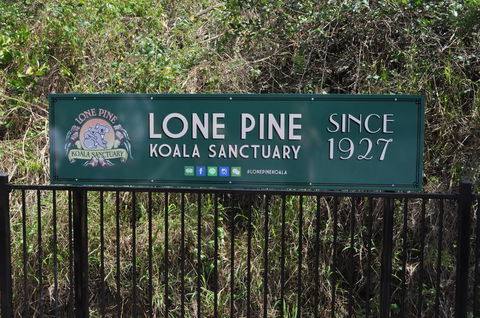 Lone Pine Koala Sanctuary Admission With Brisbane River Cruise - Accommodation Coffs Harbour 7