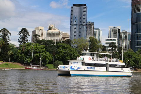 Lone Pine Koala Sanctuary Admission With Brisbane River Cruise - Accommodation Coffs Harbour 32