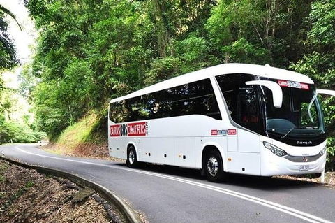 Palm Cove Departure Transfer - Palm Cove To Airport - Accommodation Coffs Harbour 1