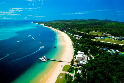 Tangalooma Island Resort Classic Whale Watching Day Cruise - Accommodation Coffs Harbour 1