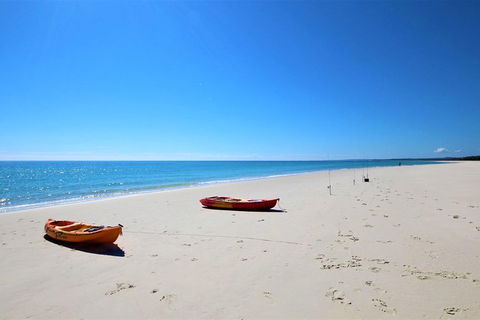 Fraser Island West Coast BBQ Lunch Cruise From Hervey Bay Including Kayaking And Swimming - Accommodation Coffs Harbour 8