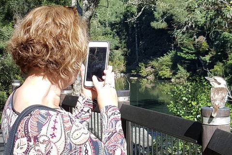 Personalised Private Platypus Land Tour - Accommodation Coffs Harbour 1