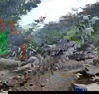 Personalised Private Platypus Land Tour - Accommodation Coffs Harbour