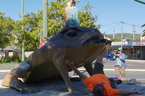 Personalised Private Platypus Land Tour - Accommodation Coffs Harbour 5