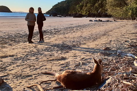 Personalised Private Platypus Land Tour - Accommodation Coffs Harbour 10