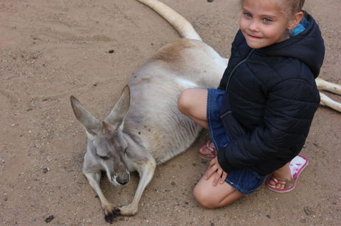 Gold Coast Attraction Pass Including Currumbin Wildlife Sanctuary And Paradise Jetboating - Accommodation Coffs Harbour 3
