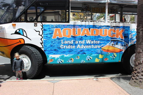 Gold Coast Attraction Pass Including Currumbin Wildlife Sanctuary And Paradise Jetboating - Accommodation Coffs Harbour 2