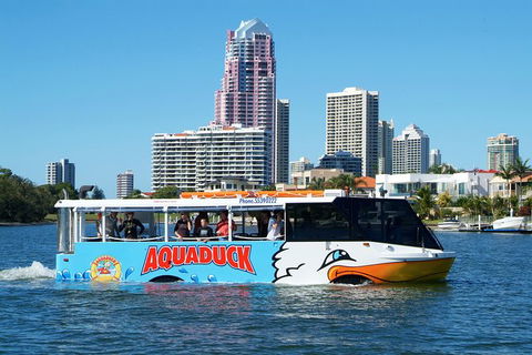 Gold Coast Attraction Pass Including Currumbin Wildlife Sanctuary And Paradise Jetboating - Accommodation Coffs Harbour 5