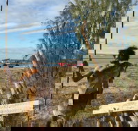 Goolimbil Walkabout Indigenous Experience in the Town of 1770 - Accommodation Coffs Harbour