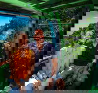Skyrail Rainforest Cableway Day Trip from Palm Cove - Accommodation Coffs Harbour