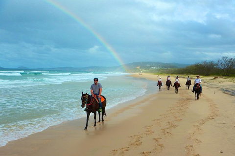 Rainbow Beach Horse Ride - Accommodation Coffs Harbour 0
