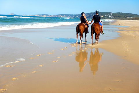 Rainbow Beach Horse Ride - Accommodation Coffs Harbour 3