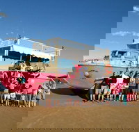 Town of 1770 Afternoon Cruise - Accommodation Coffs Harbour