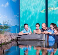 Reef HQ Great Barrier Reef Aquarium General Entry Ticket - Accommodation Coffs Harbour