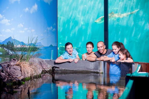 Reef HQ Great Barrier Reef Aquarium General Entry Ticket - Accommodation Coffs Harbour 0