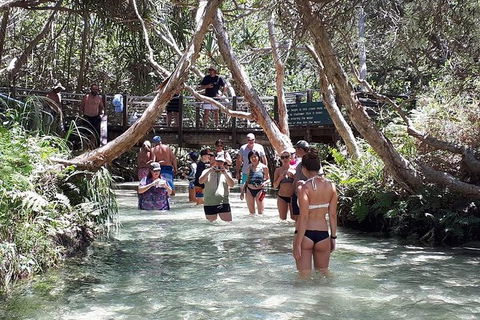 Overnight Fraser Island Camping Safari From Brisbane - Accommodation Coffs Harbour 3