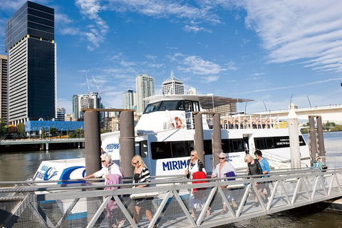 Brisbane Highlights And Lone Pine Cruise From Gold Coast - Accommodation Coffs Harbour 13