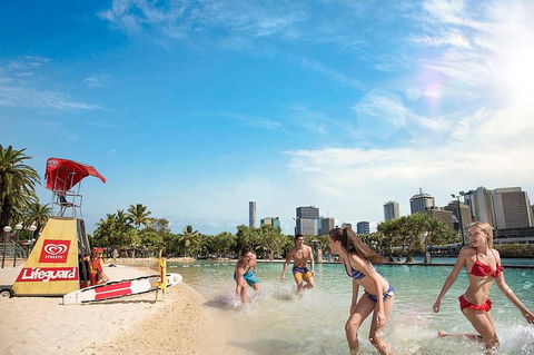 Brisbane Highlights And Lone Pine Cruise From Gold Coast - Accommodation Coffs Harbour 9
