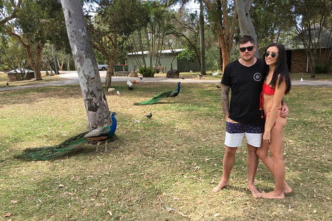 Surfers Paradise Stand Up Paddle Tour - Accommodation Coffs Harbour 5