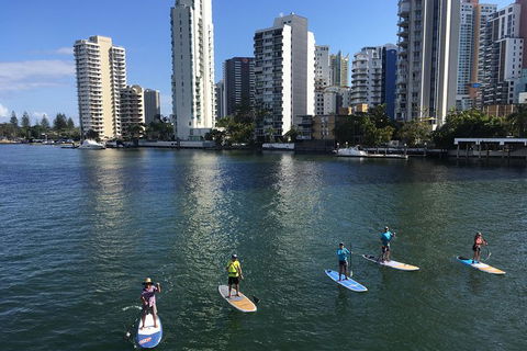 Surfers Paradise Stand Up Paddle Tour - Accommodation Coffs Harbour 3
