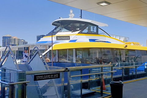 Brisbane City Essentials Walking Tour - Accommodation Coffs Harbour 8